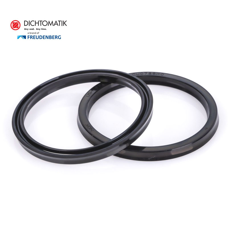 Dichtomatik密封 旋转密封(DR)